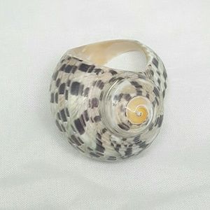 Unique Carved Conch Shell Ring Size 7
